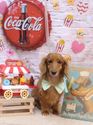 20230924しろくん